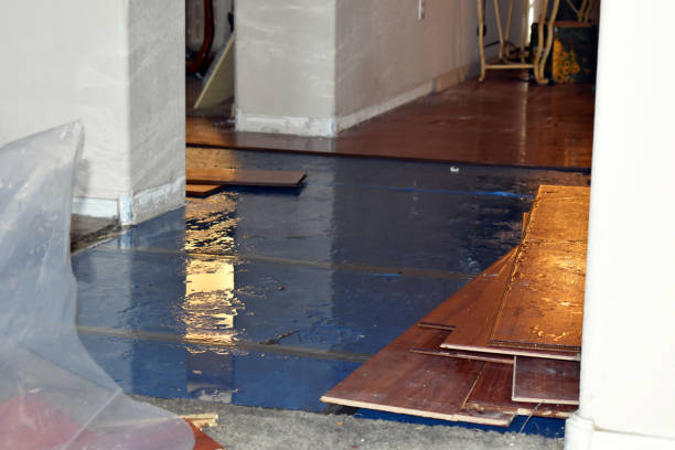 Professional Burst Pipe Cleanup technician working in Bourneville, OH